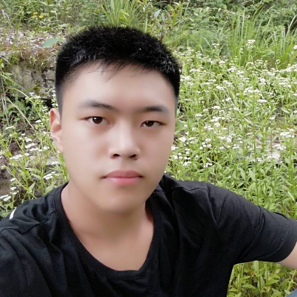 乔木_叶的照片