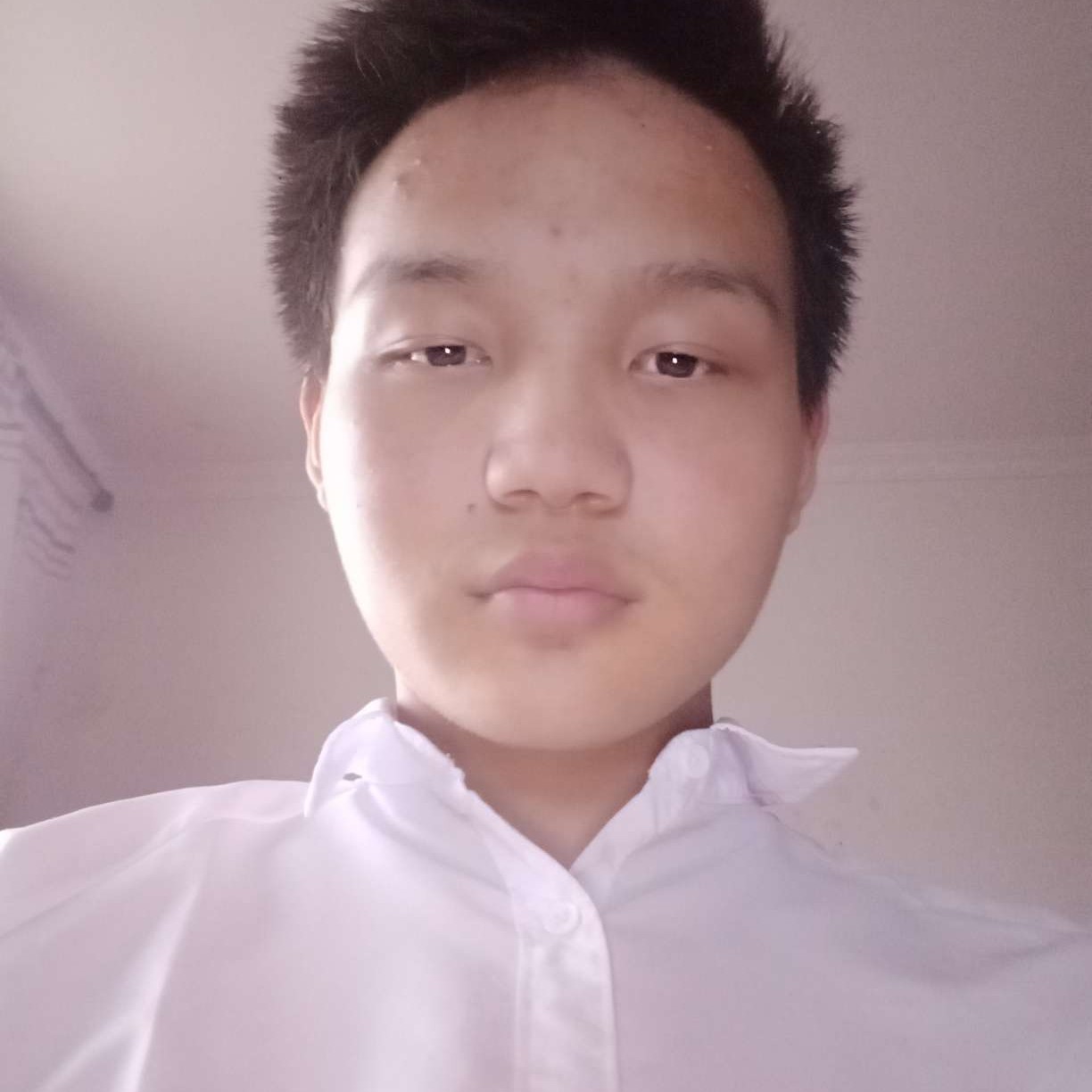 羞涩爱老虎的照片