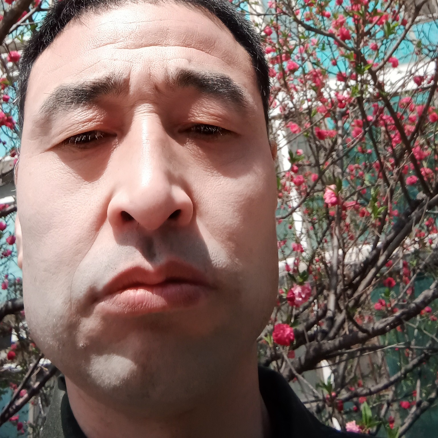会员853442914的照片