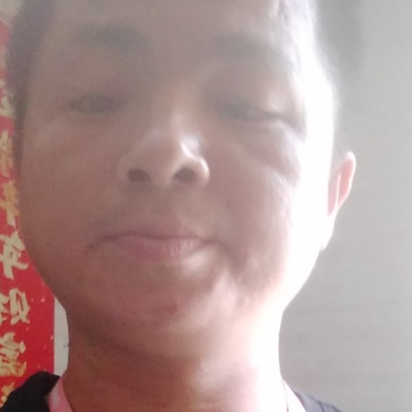 裙子闻包容的照片