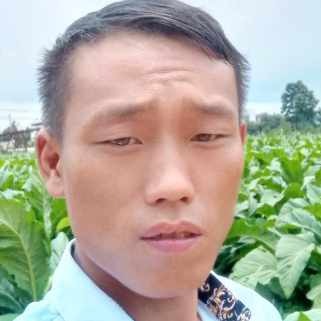 孤狼⑨的照片