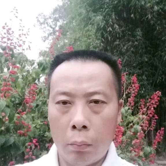 大神和绚烂的照片