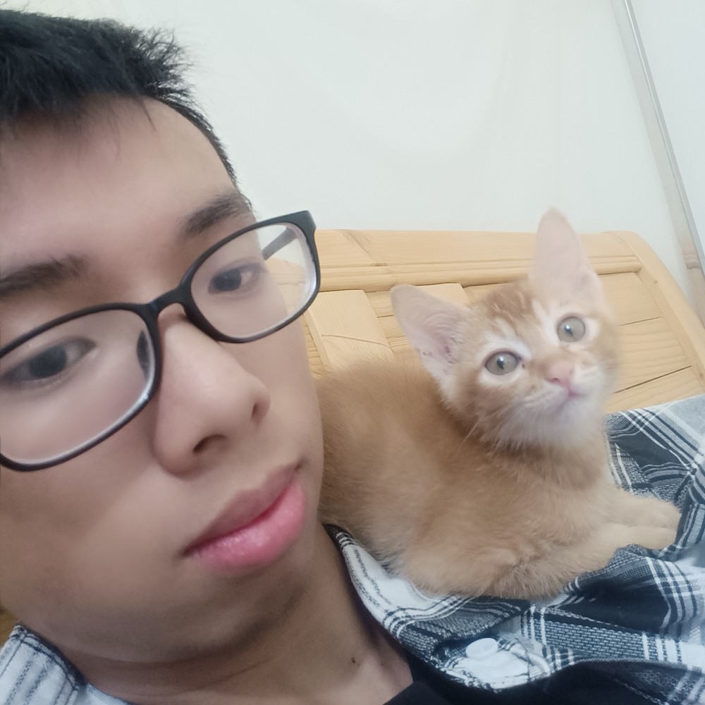 爱橘猫的大男孩的照片