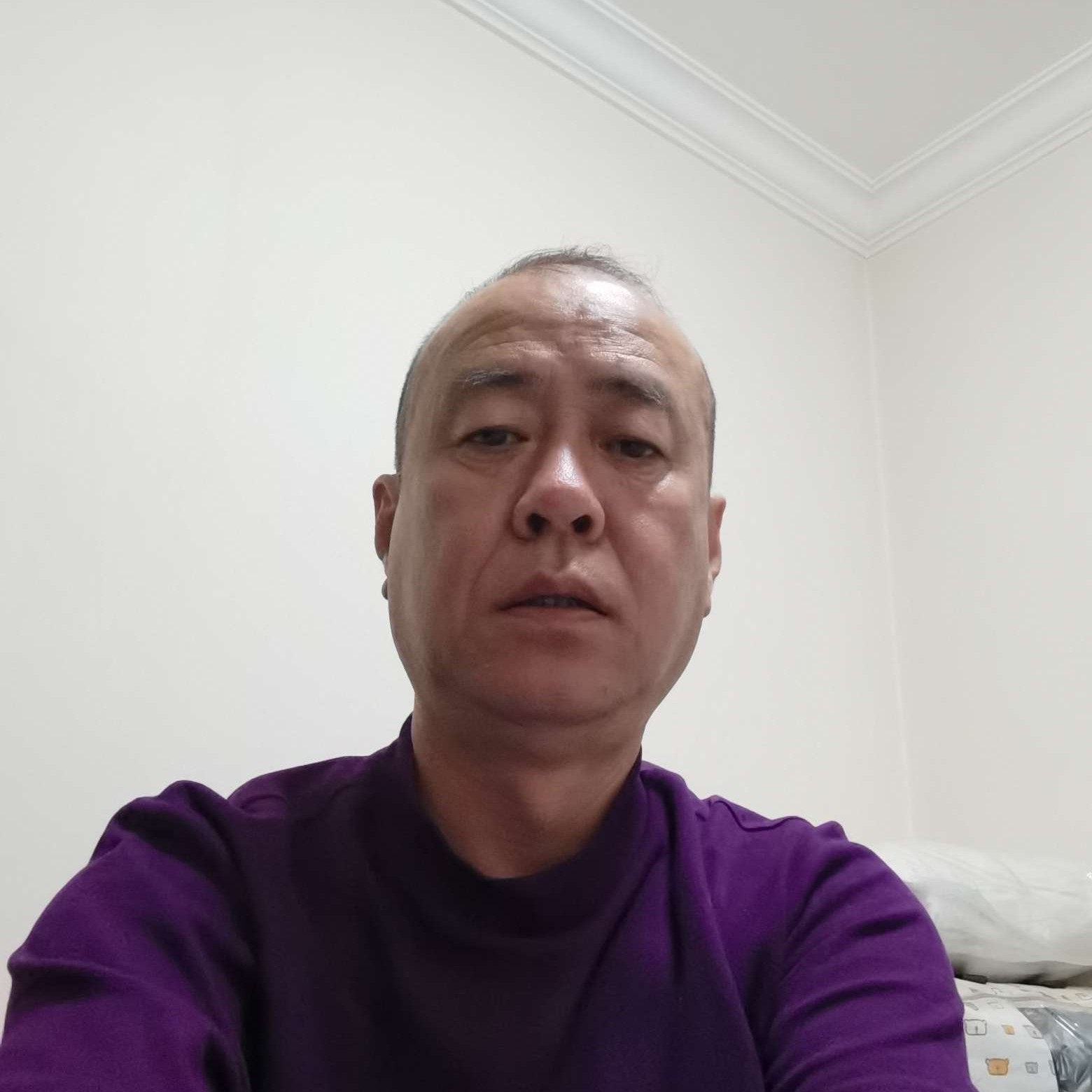 老鼠拾忆威武的照片