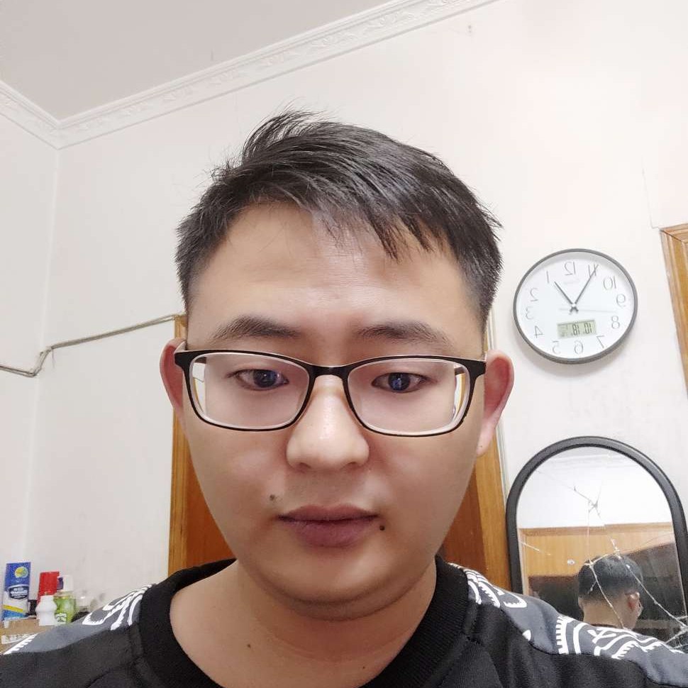 狗追猫儿的照片