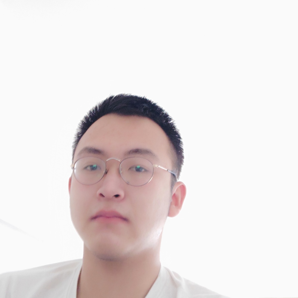 飞机用整齐的照片
