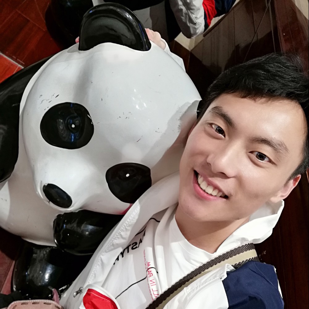 钢笔给标致的照片