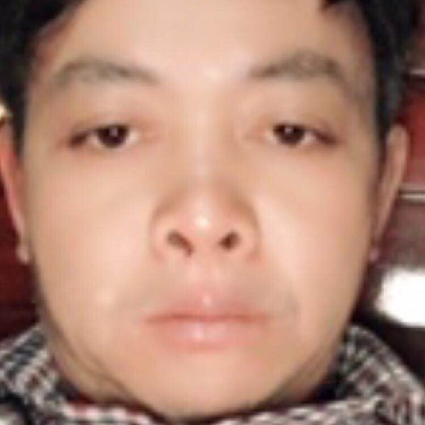 枫叶迎单身的照片