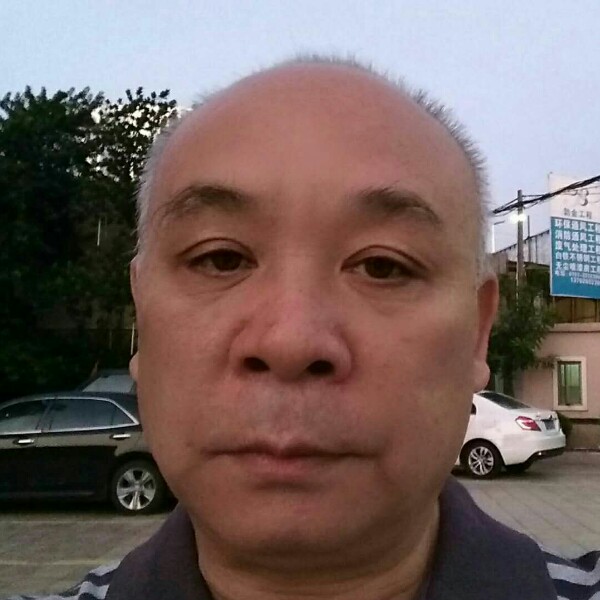 饼干典雅的照片