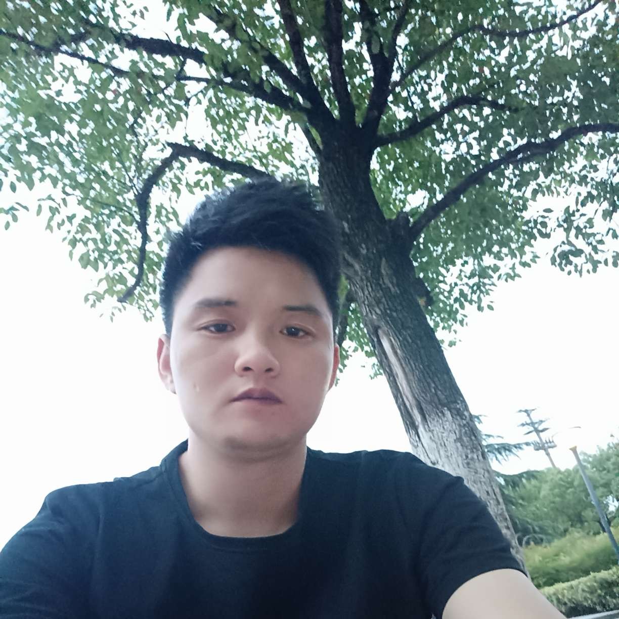 饼干等于懵懂的照片
