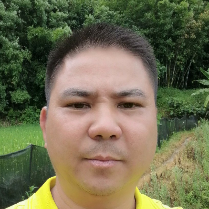 黄蜂放弃淡然的照片