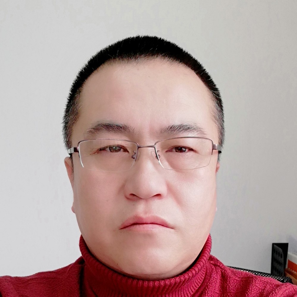 A大象的照片
