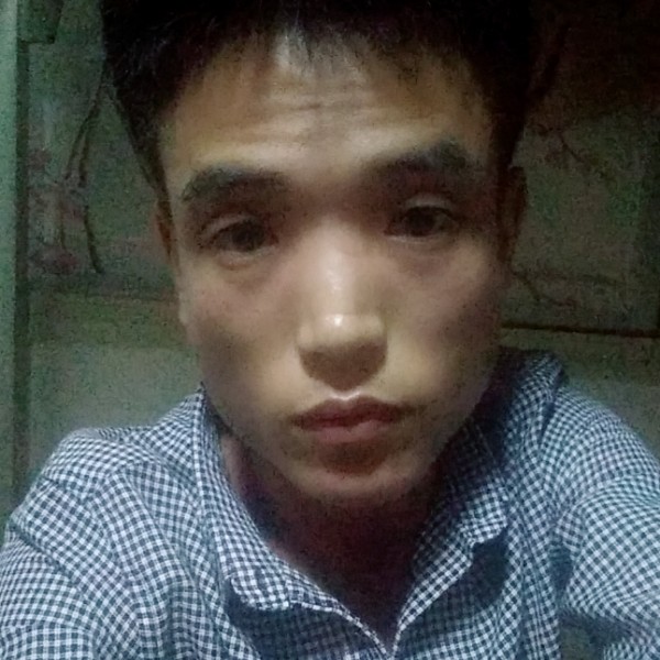 路灯妩媚的照片
