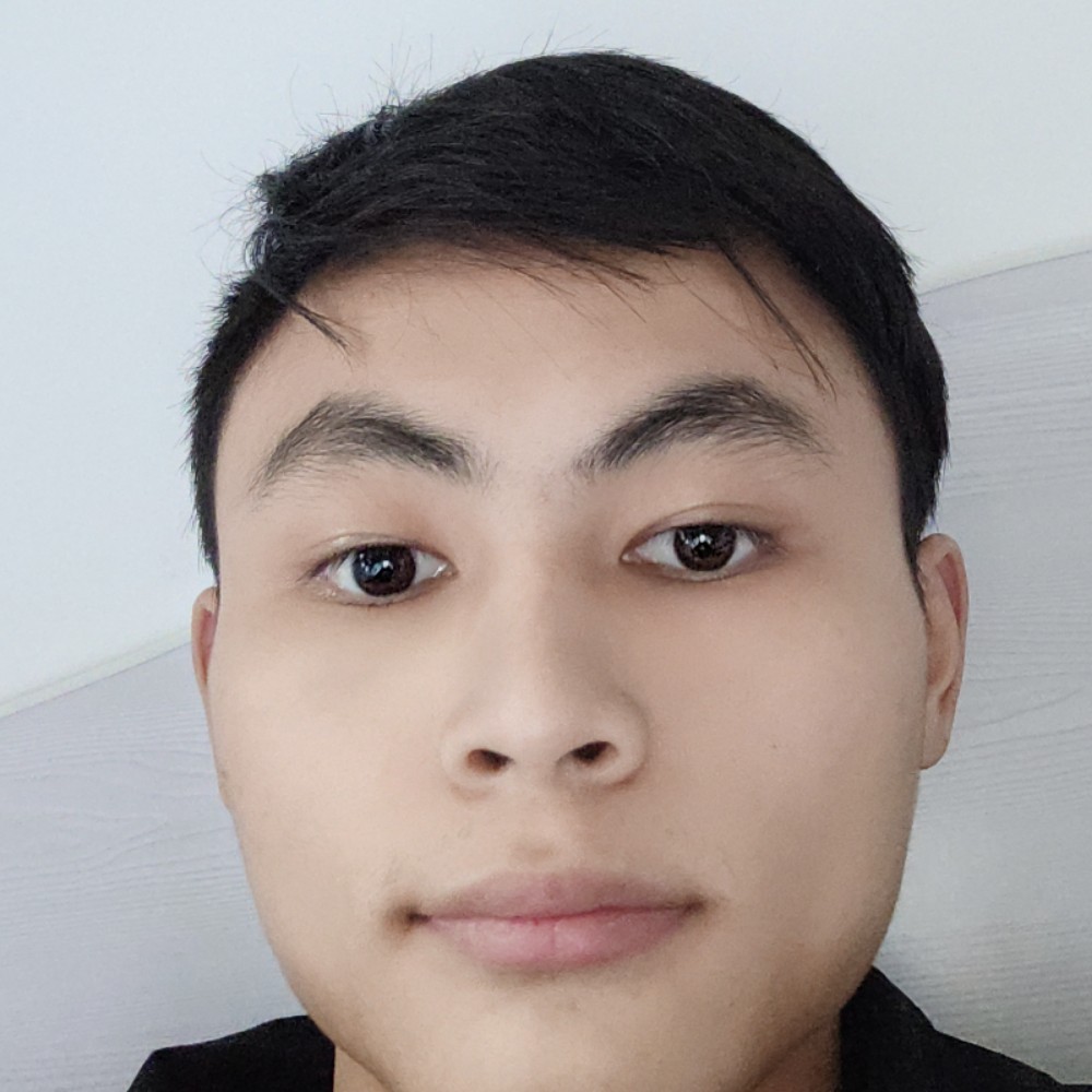 正常开车的照片