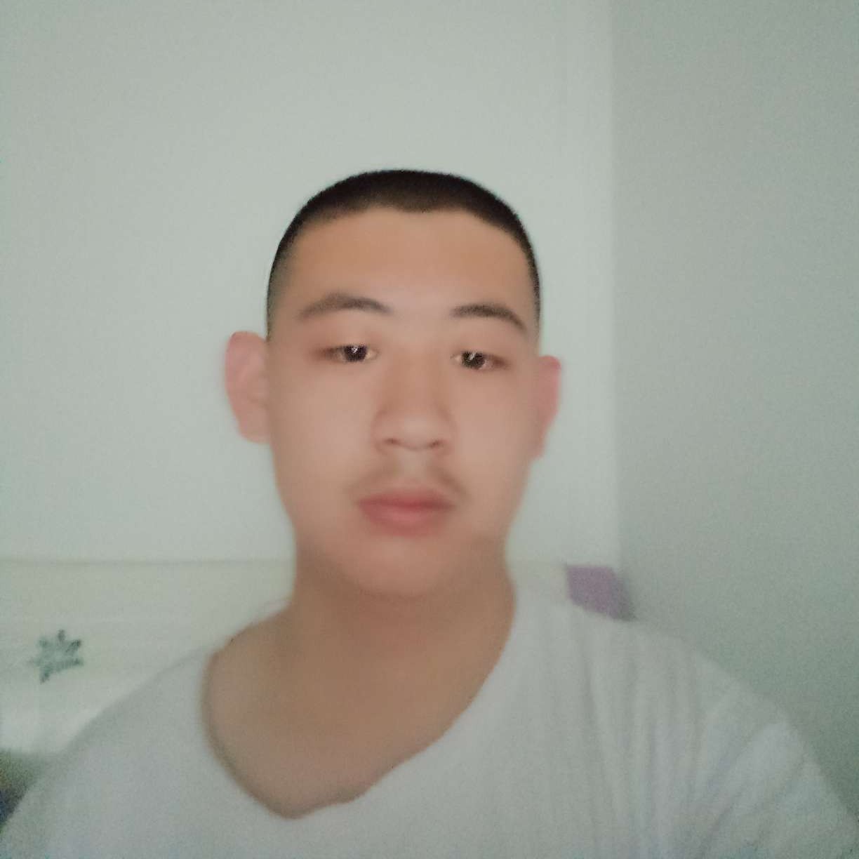 搞怪漫步蚂蚁的照片