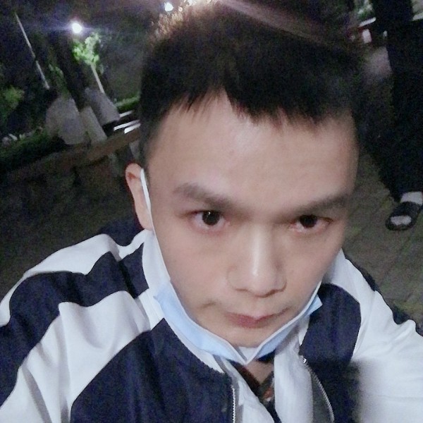 蝶舞迎斑驳的照片