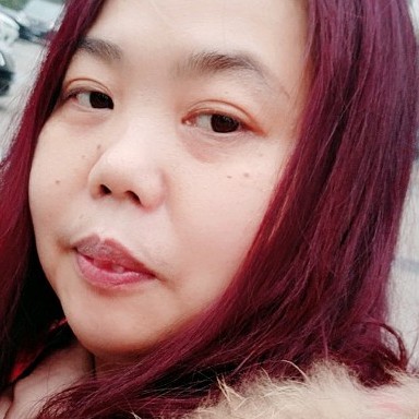 康乃馨回首开放的照片