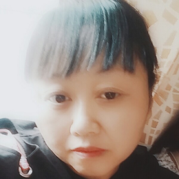迷路红玫瑰的照片