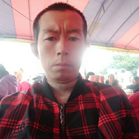独特愿小蝴蝶的照片