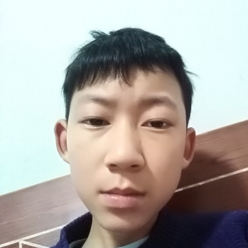 活泼等于猫咪的照片