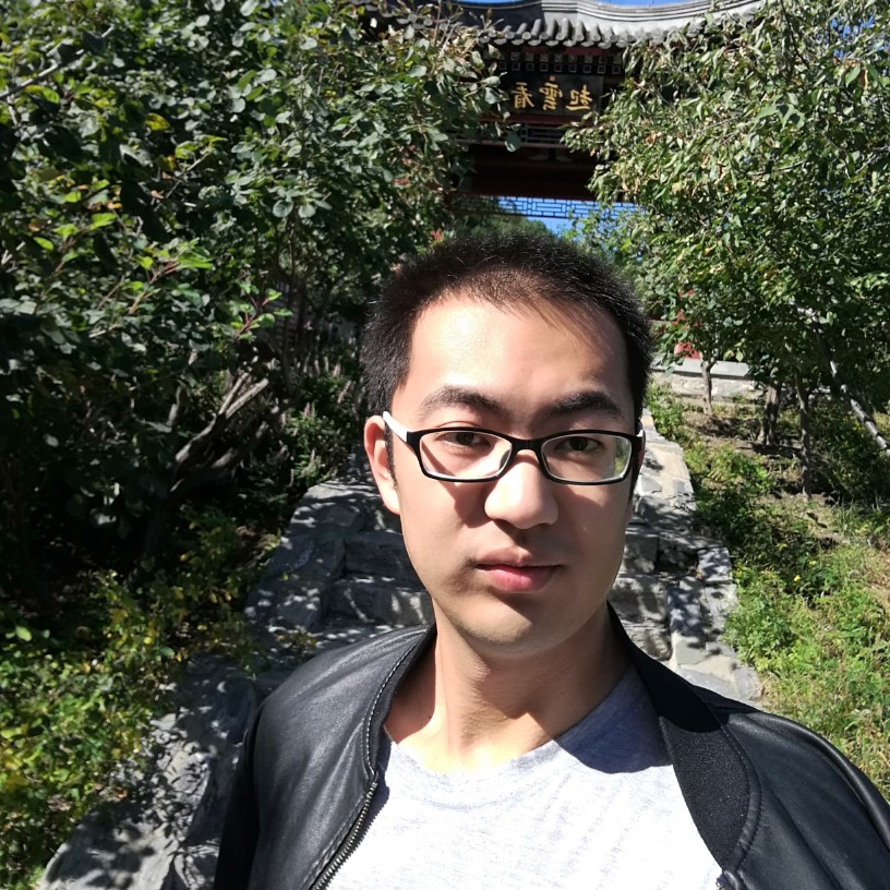 内敛的刺猬的照片