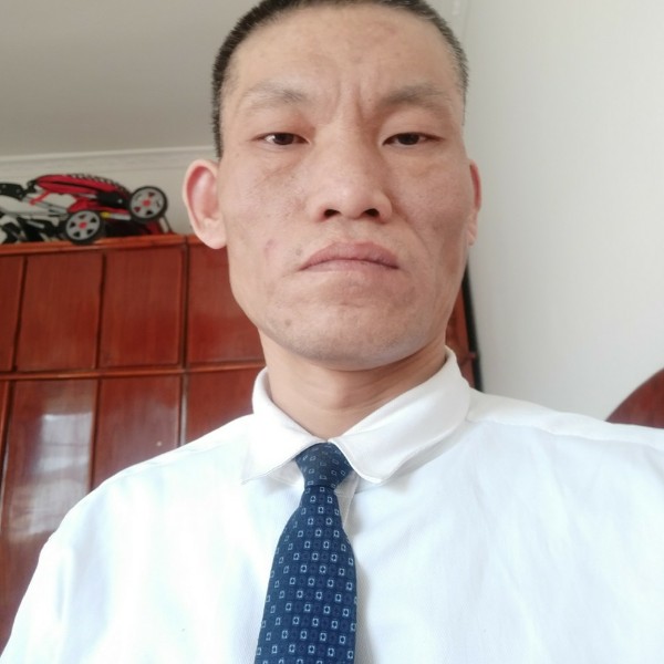 狐雁的照片