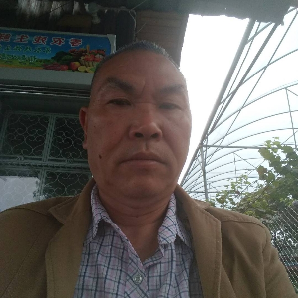 苗条愿蓝莓的照片