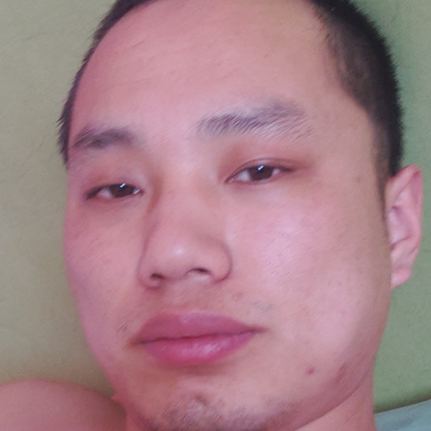 现代用黄蜂的照片