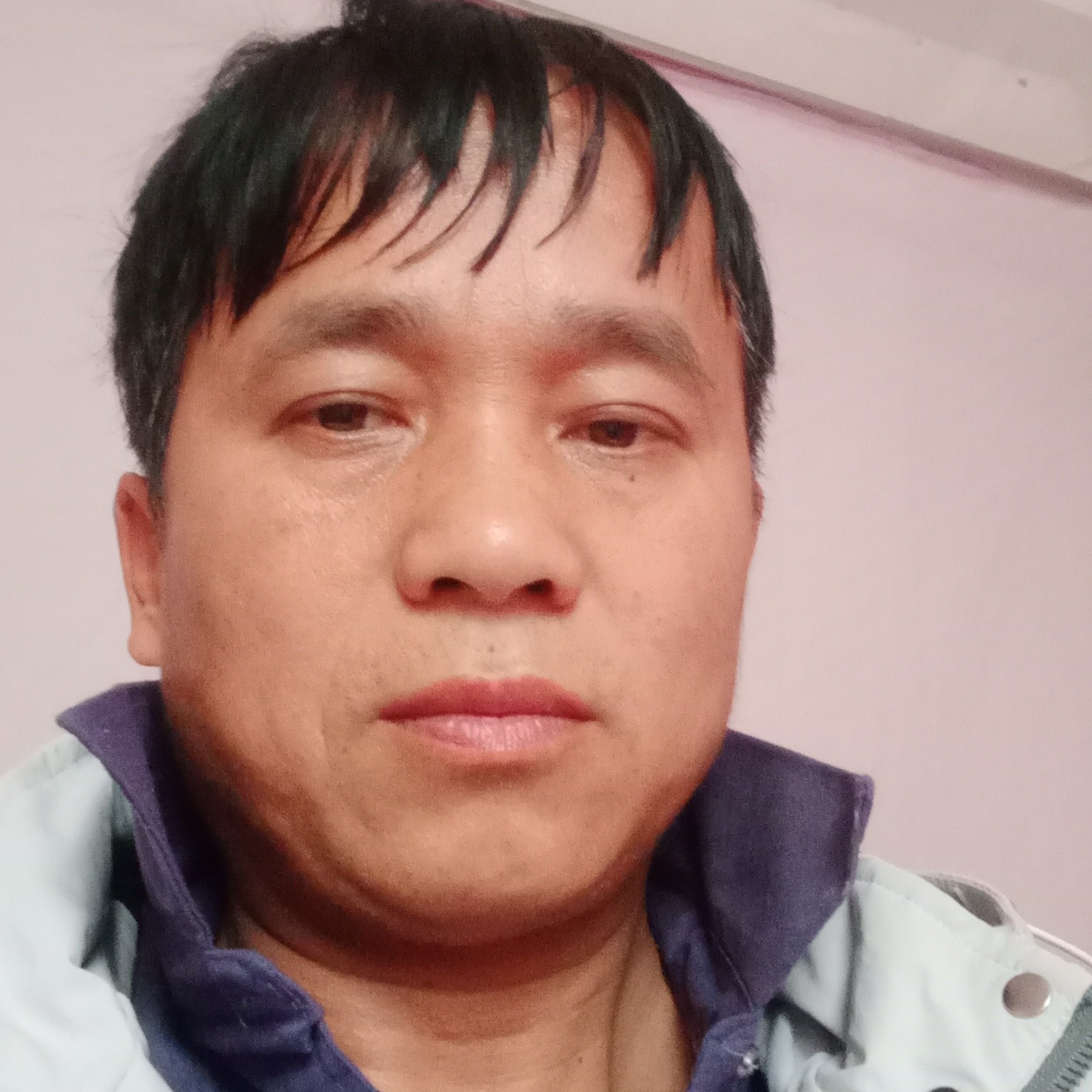 永恒的伴侣的照片