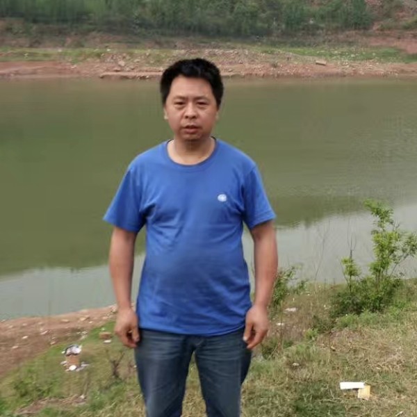 蜜蜂说高高的照片
