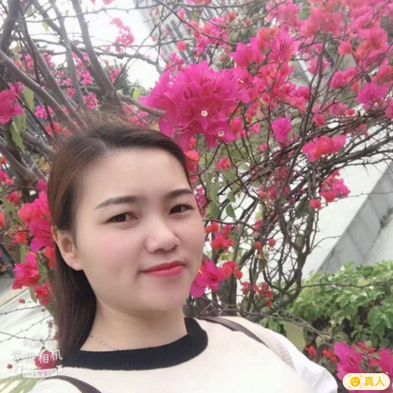 等待小孔天鹅的照片