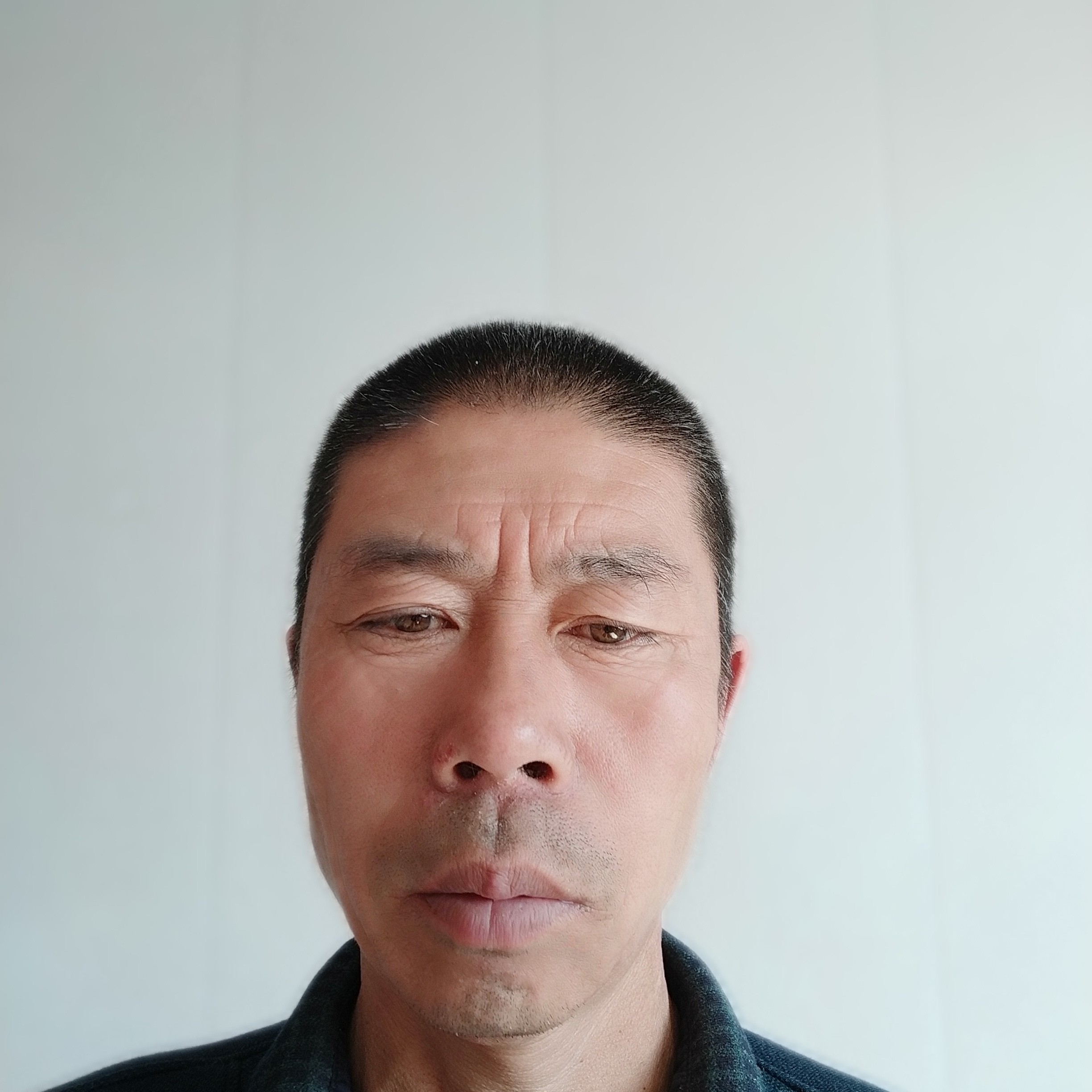 拼搏挽手花瓣的照片