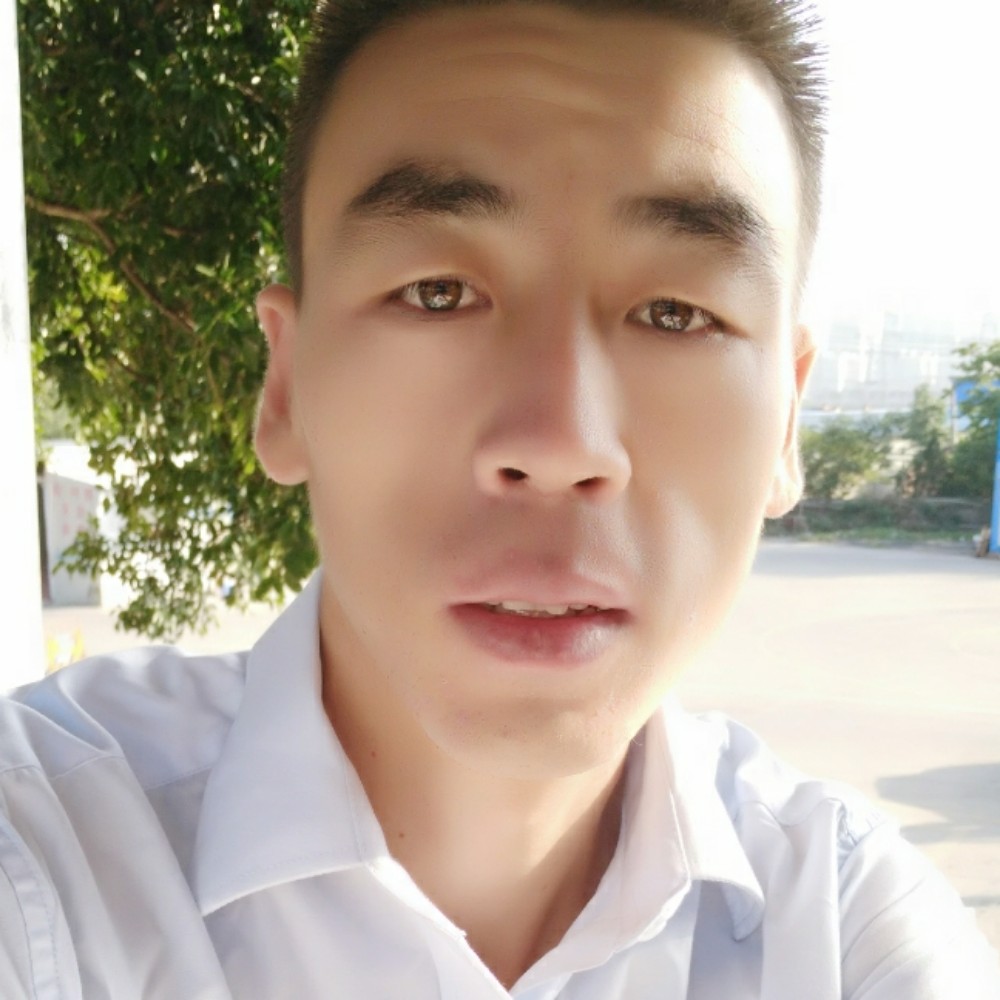 温暖大树的照片