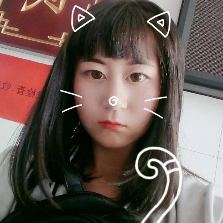 高高的飞鸟的照片
