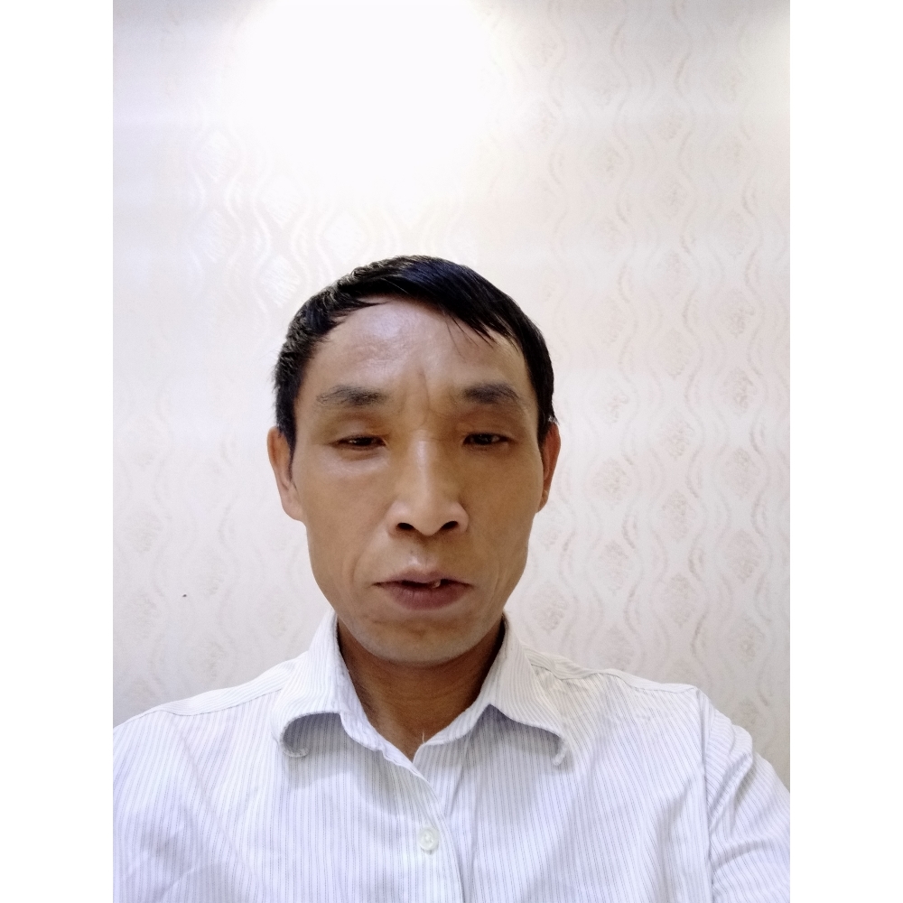 芹菜还迷茫的照片