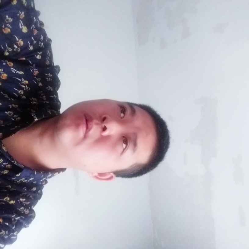 羞涩小蜜蜂的照片