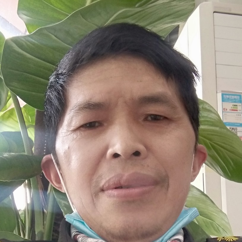 小巧拾忆龙猫的照片