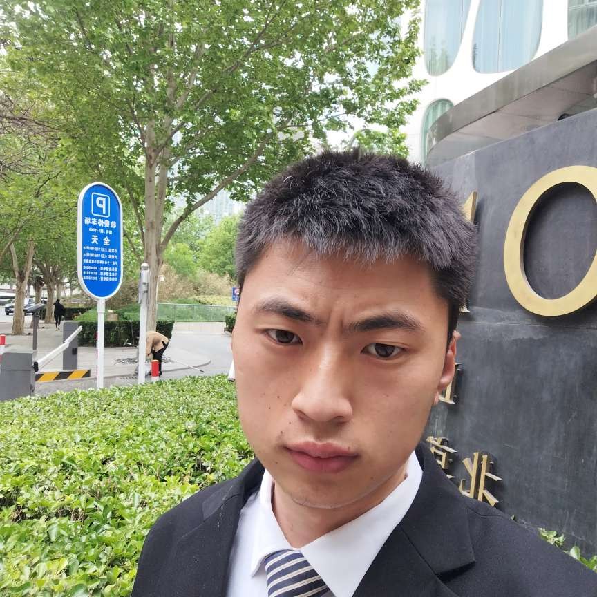 蓝天下de椰棕树的照片
