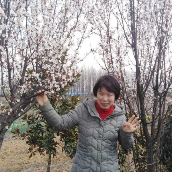 时光倾心秀丽的照片