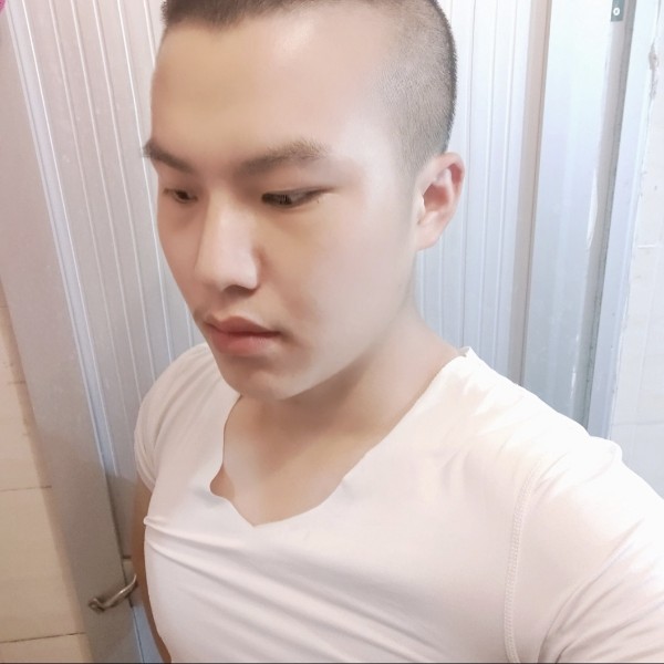 sx8577的照片