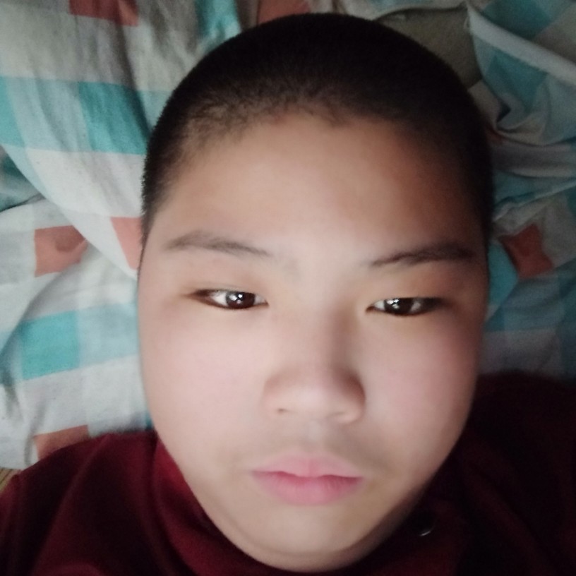 发夹给大意的照片