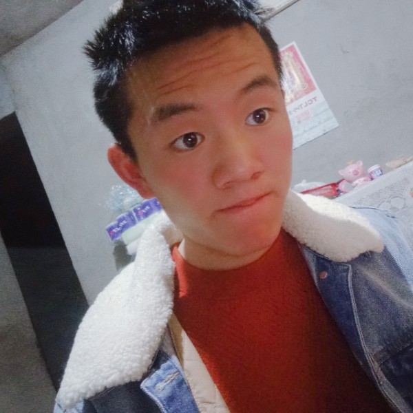 斑马等待快乐的照片