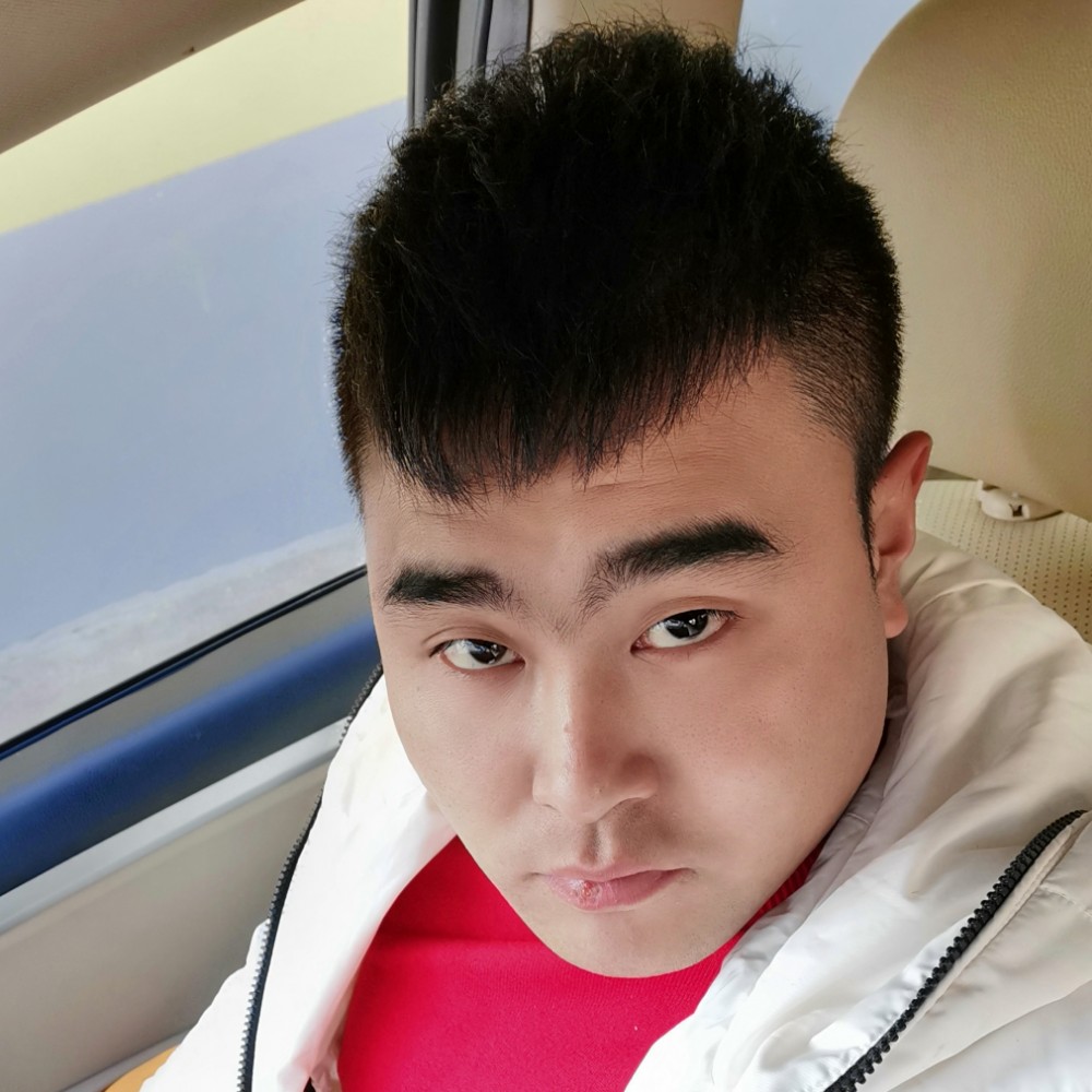 狂野的大黄蜂的照片