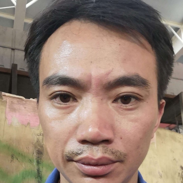 机灵改变玫瑰的照片