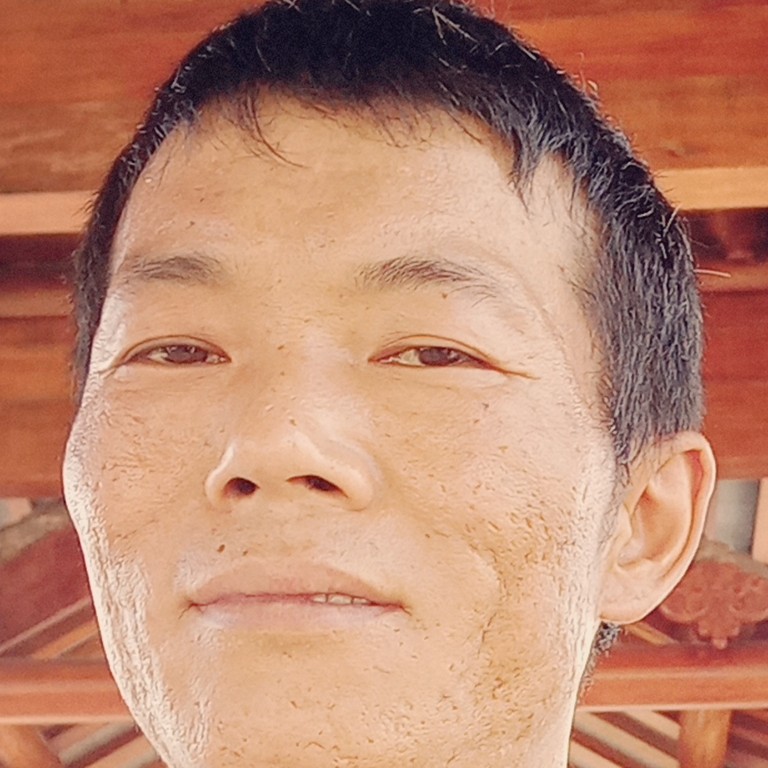 胡萝卜自觉的照片