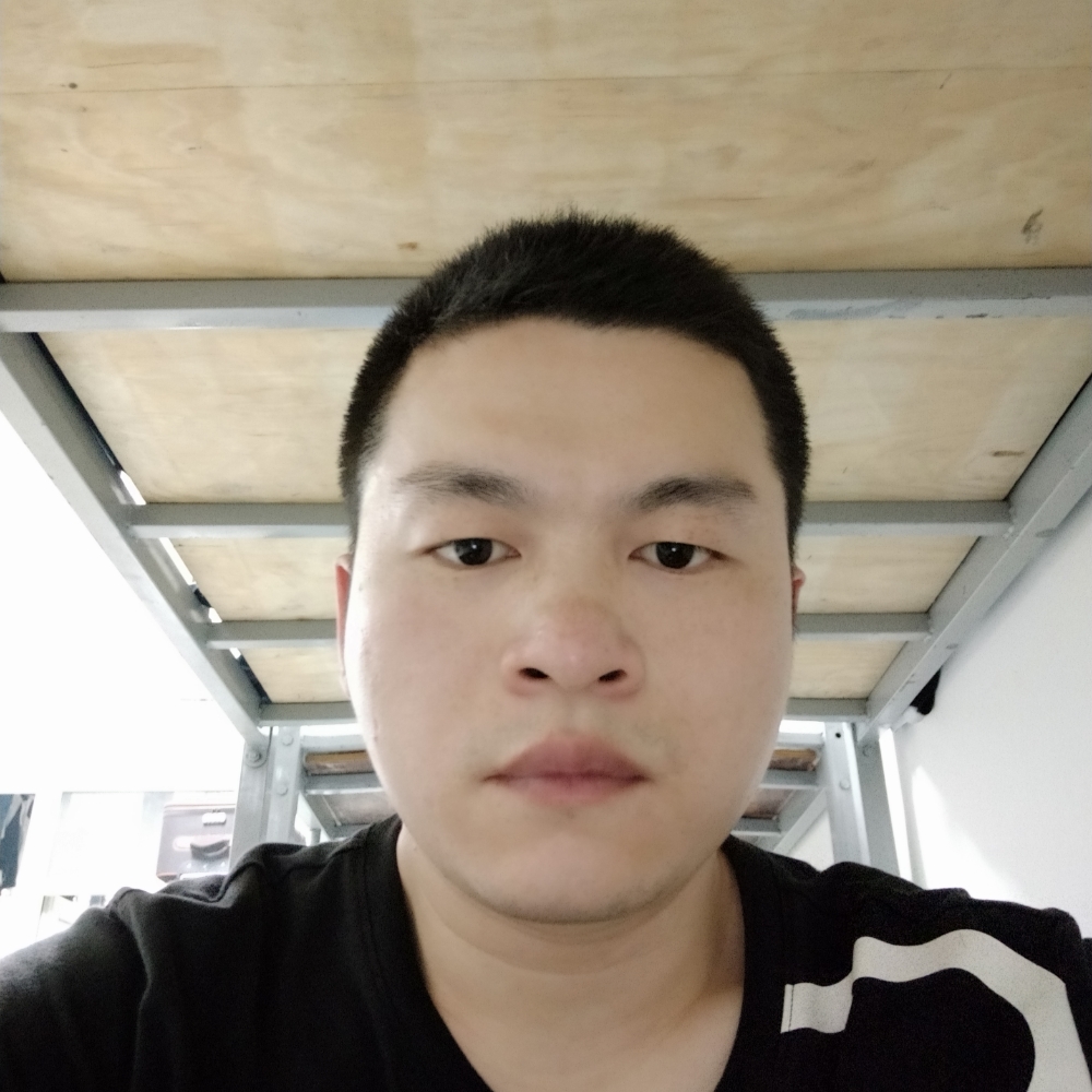 落叶与树的照片