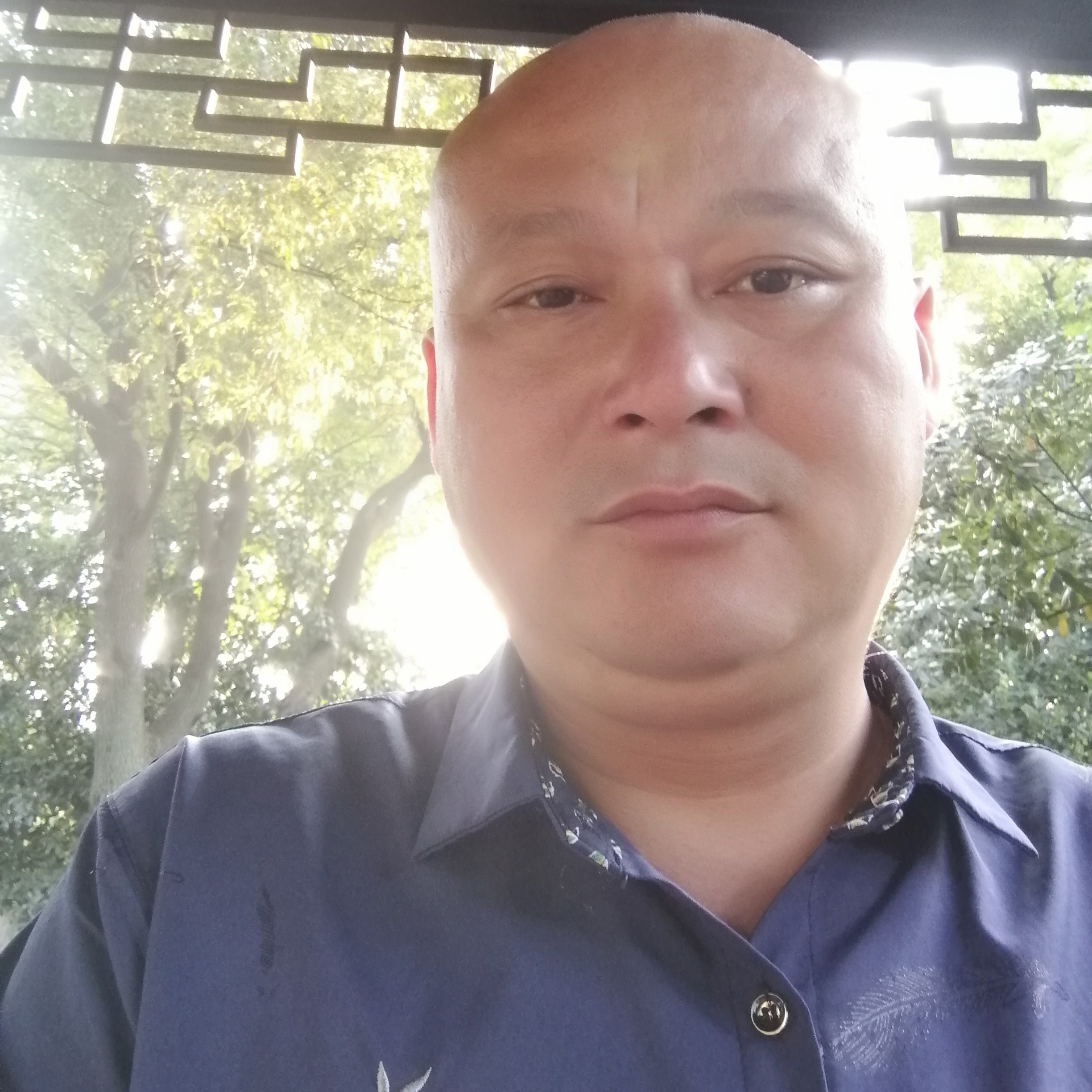 紫霞郎的照片