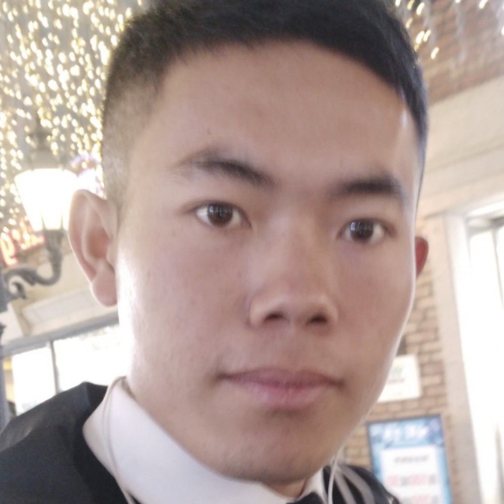小海豚方开心的照片