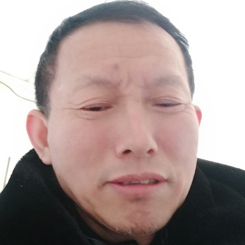 拉长吃醋南鸢的照片