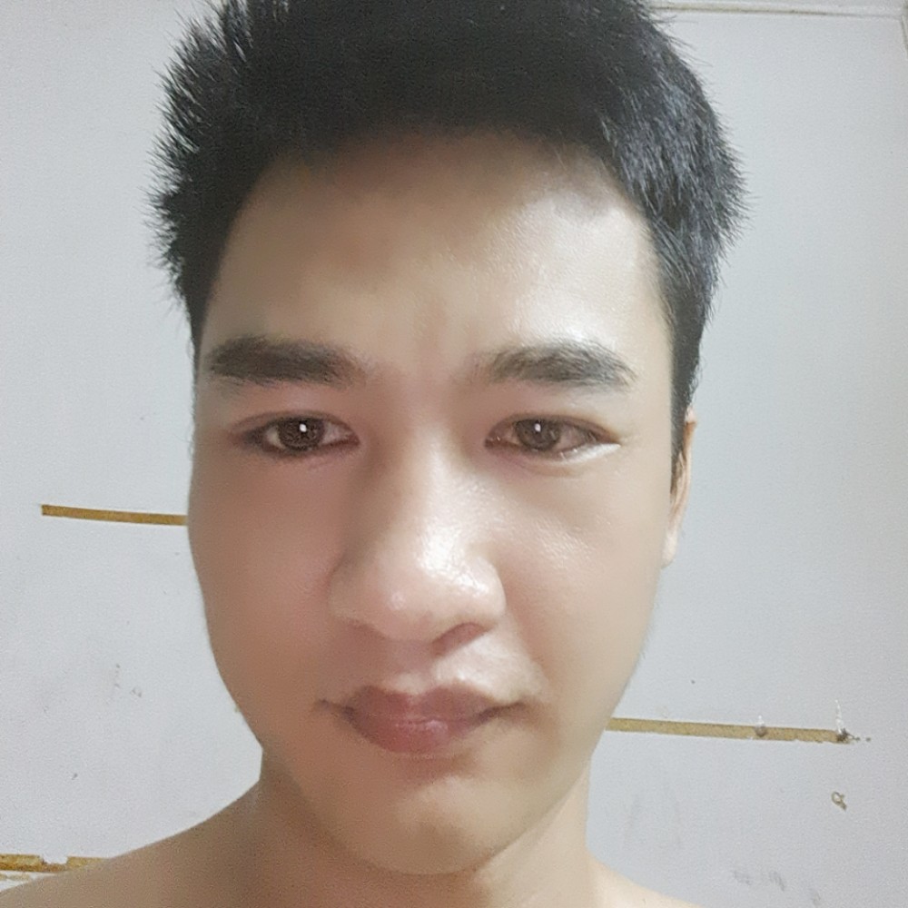 狗给乐观的照片